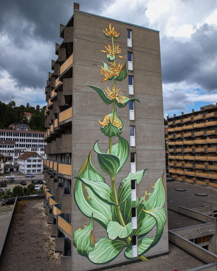 A mural of a tall yellow gentian plant with green leaves climbs up the side of a high-rise concrete apartment building in Le Locle, Switzerland, painted by Mona Caron.