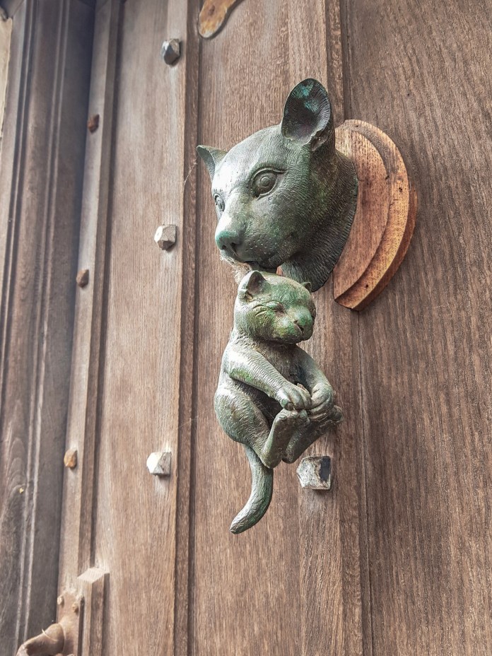 A sculpted bronze cat head holds a kitten by the scruff as a door knocker on a rustic wooden door. The kitten hangs down, legs curled and tail looping under, blending charm with functionality.