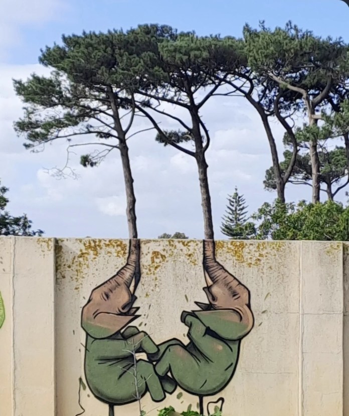 A mural in Cape Town by Falko Fantastic shows two upside-down green elephants whose trunks blend into two pine trees behind the wall, using the trees as part of the artwork.