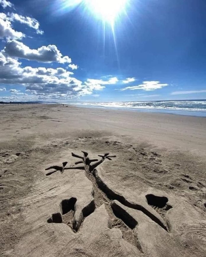 Sand sculpture on a sunny beach showing Looney Tunes character Wile E. Coyote flattened underground, carved by PUFFERFISH. Bright blue sky and ocean in the background.
