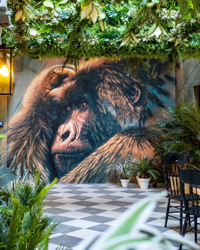 Mural of a gorilla by Sonny Behan painted in extreme detail on an indoor wall surrounded by hanging plants and greenery in Cape Town, South Africa. The gorilla rests its head on its hand in a lifelike, contemplative pose.