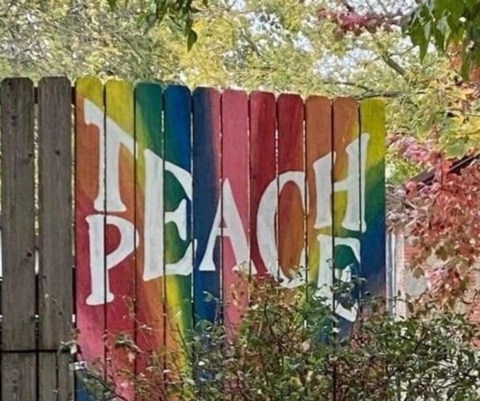 Mural on a rainbow-painted wooden fence in a garden. The words “TEACH” and “PEACE” overlap in white capital letters, blending visually through the colorful background.