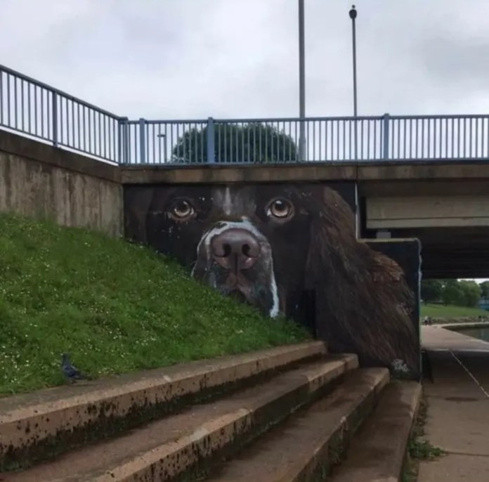 Mural of a brown-and-white springer spaniel’s face painted under a bridge in Exeter, England, positioned to align with grass and stair contours.
