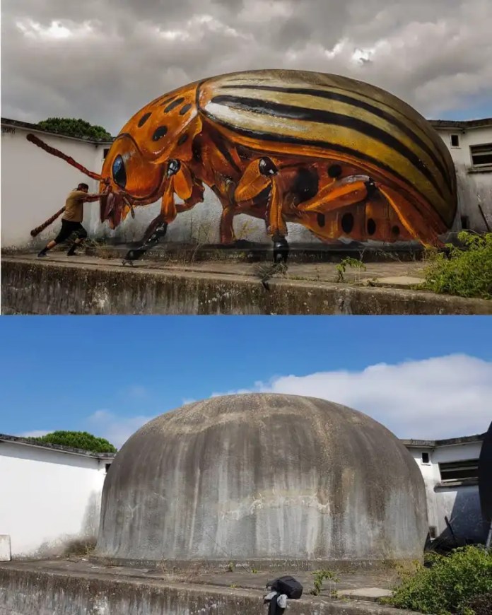 A convex rooftop structure is painted to resemble a giant orange and black beetle with detailed legs and antennae. When viewed from the correct angle, the insect appears to be realistically crawling across the concrete.