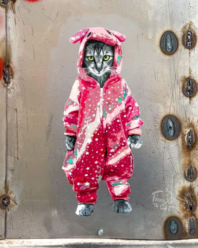 A whimsical street art piece by Tianooo The Cat, located at Haus der Statistik in Berlin, Germany. The artwork portrays a gray tabby cat standing upright, wearing a playful pink onesie adorned with splashes of teal, white, and star patterns. The cat's striking green eyes stand out against its detailed fur and the colorful outfit. The background is a rustic metallic surface with visible weld marks, bolts, and rust, adding an industrial vibe that contrasts with the charm of the character. The artist's signature, "Tianooo The Cat," is visible near the bottom right corner.