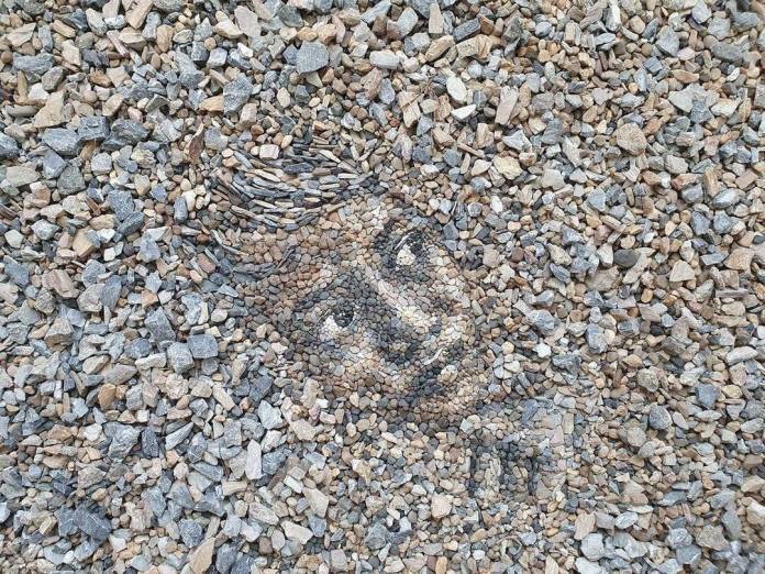 A pebble portrait titled "Refugee 2" by Justin Bateman, showcasing the face of a young individual with an upward, hopeful gaze. Crafted using various shades of stones and pebbles, the artwork blends seamlessly into its gravel background, emphasizing its ephemeral nature. The portrait captures a sense of longing and perseverance, reflecting the resilience of refugees. Created in Chiang Mai, Thailand, this piece highlights Bateman's ability to convey emotion through natural materials.