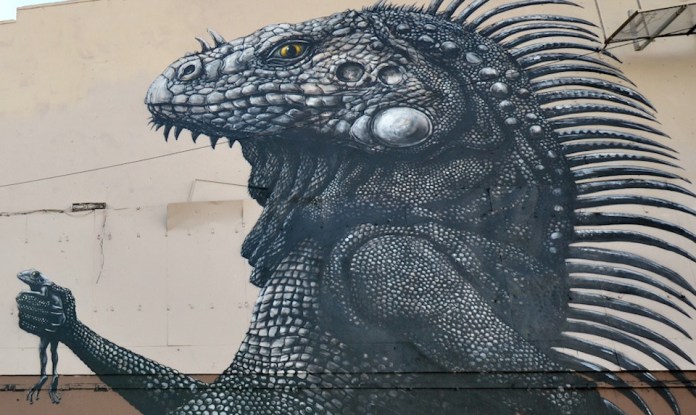 Street Art by ROA at Los Muros Hablan in San Juan, Puerto Rico 2