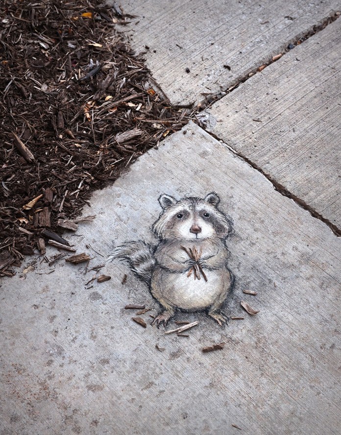 A whimsical chalk drawing by David Zinn featuring a plump raccoon named Max, drawn on a concrete sidewalk. Max is standing upright, holding a bundle of wood chips in his tiny hands, looking as if he is ready to contribute to a potluck. The artwork cleverly incorporates real wood chips scattered on the ground, blending seamlessly with the surrounding mulch and pavement.