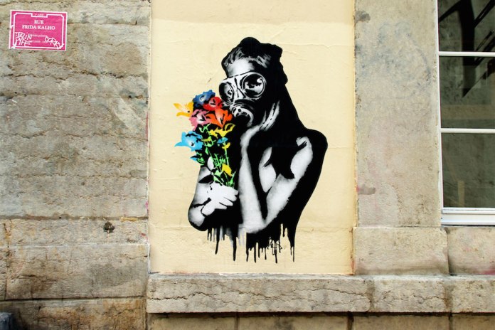 Street Art by Goin in Lyon, France -Fukushima Flowers