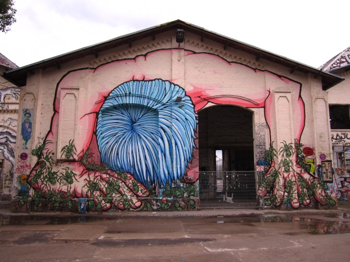 Street Art by Alaniz 7