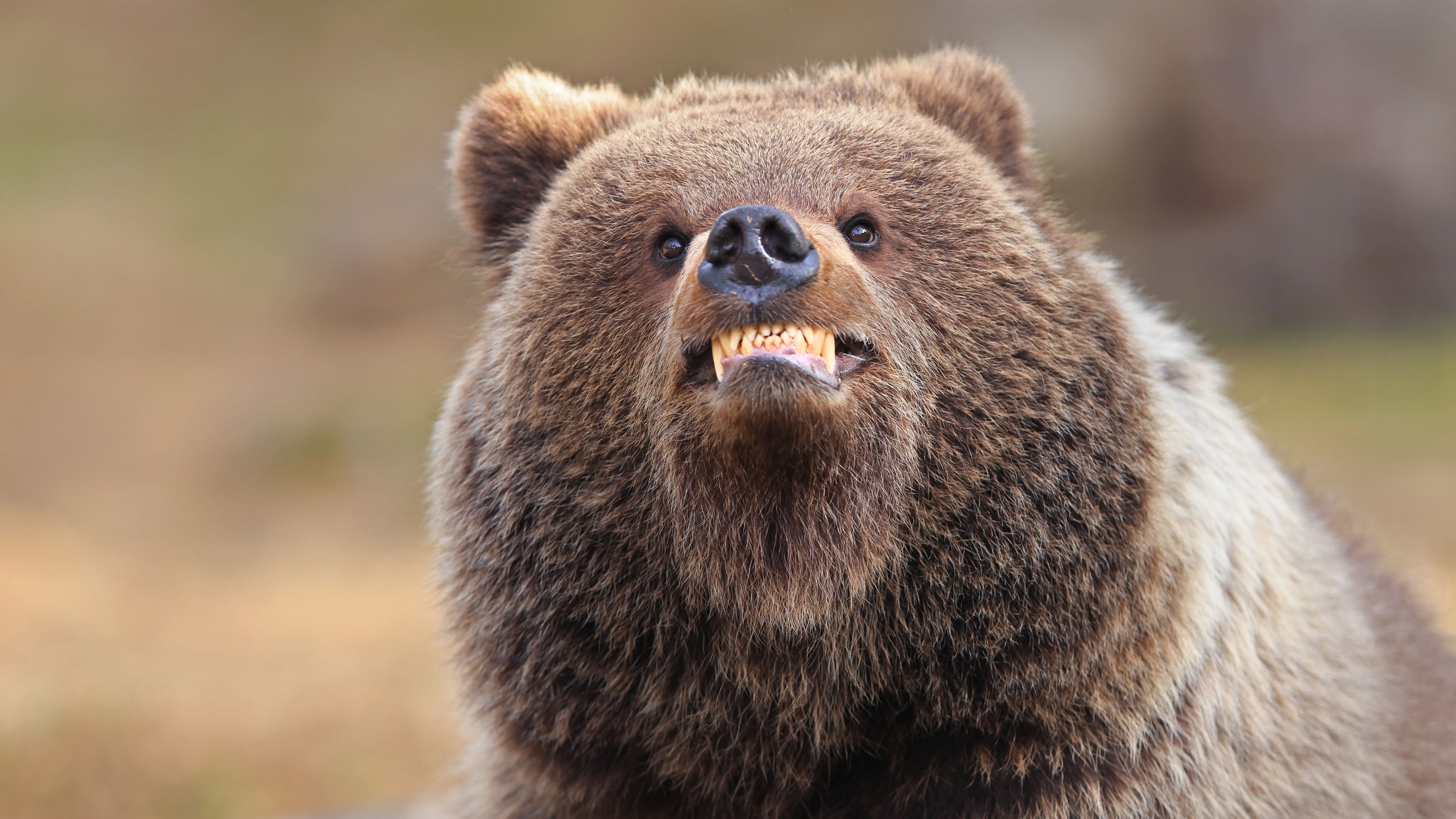 Valtteri Mulkahainen Smileyourebeingphotographed