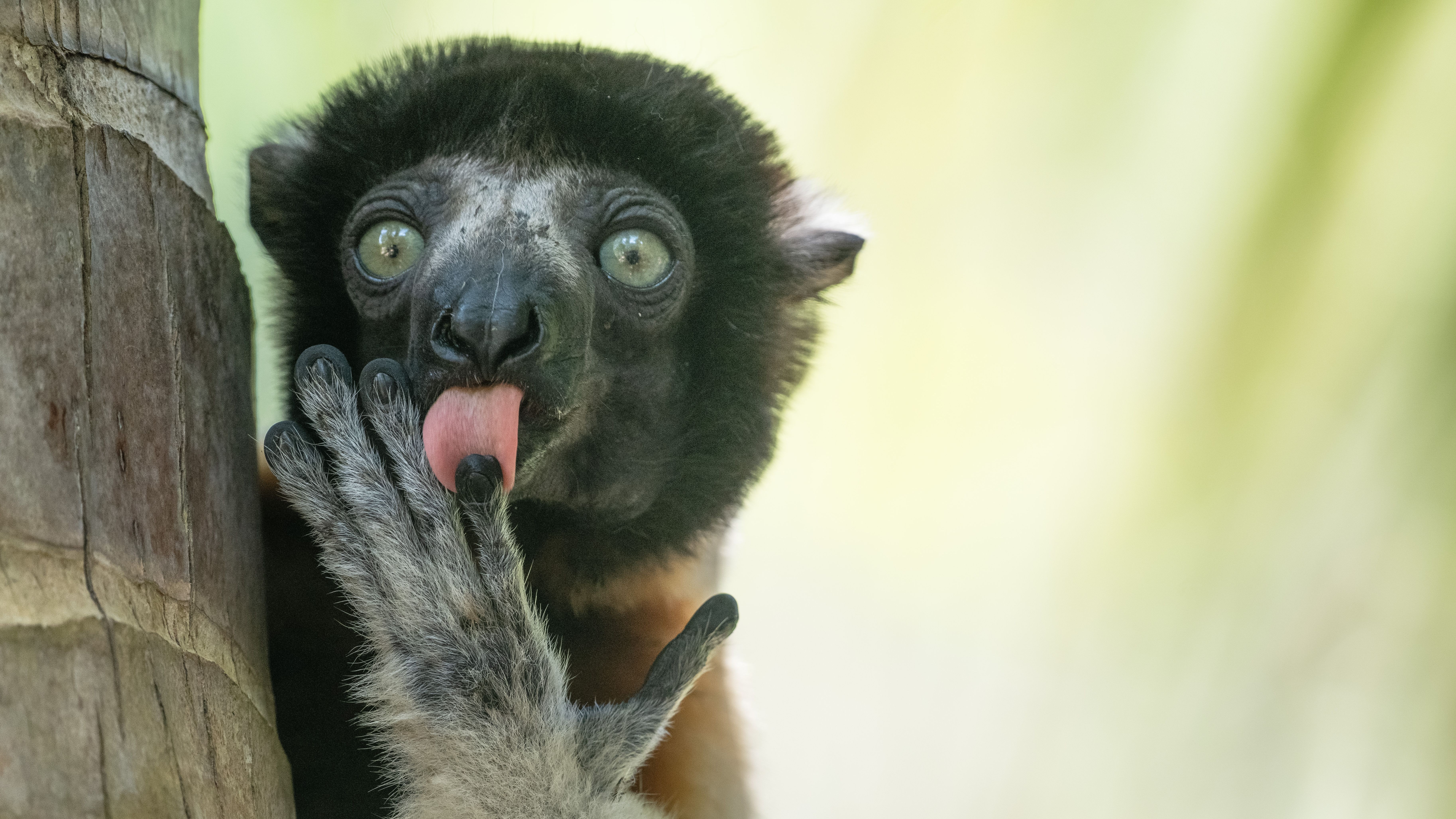 Liliana Luca Fonziesadvertising