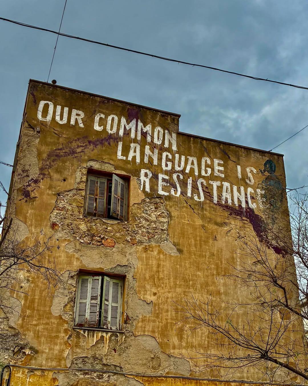 Image/photo