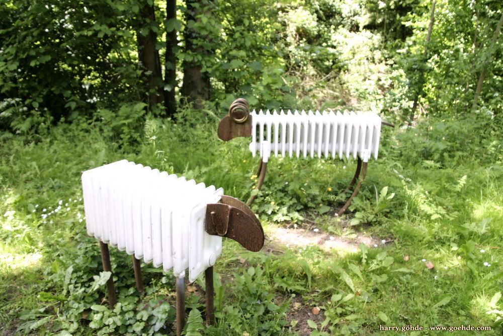 Schafe Rheinberg
