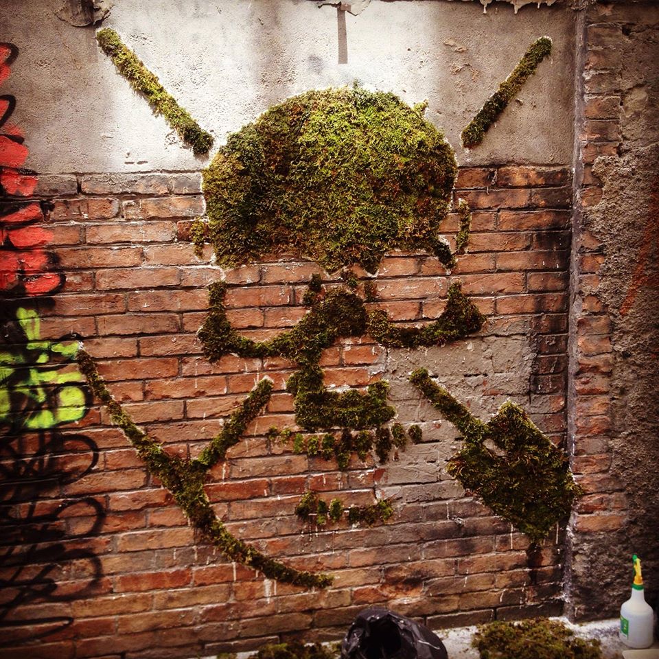 Moss graffiti by GREEN in Lyon, France, showing a green moss-like street art piece growing across a rough wall.