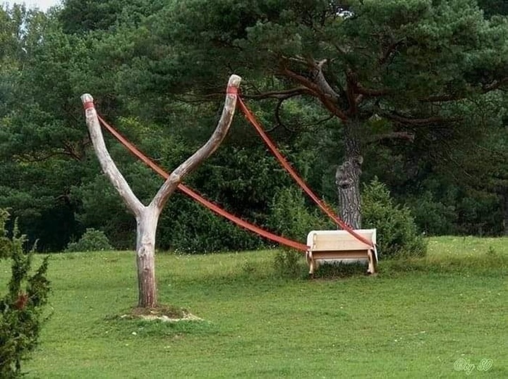Schleudersitz by Cornelia Konrads shows a wooden bench pulled back between two tree trunks like a giant slingshot, with red straps across a grassy park.