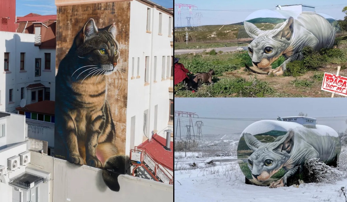 A street art collage featuring cat murals, graffiti kittens, 3D illusions, sculptures, and small cat-themed interventions from cities around the world.