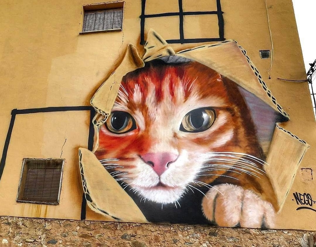 A clever 3D illusion street art mural by Nego in Torrellas, Zaragoza, Spain. The building corner is painted to look like a giant cardboard box with a playful cat hiding inside.