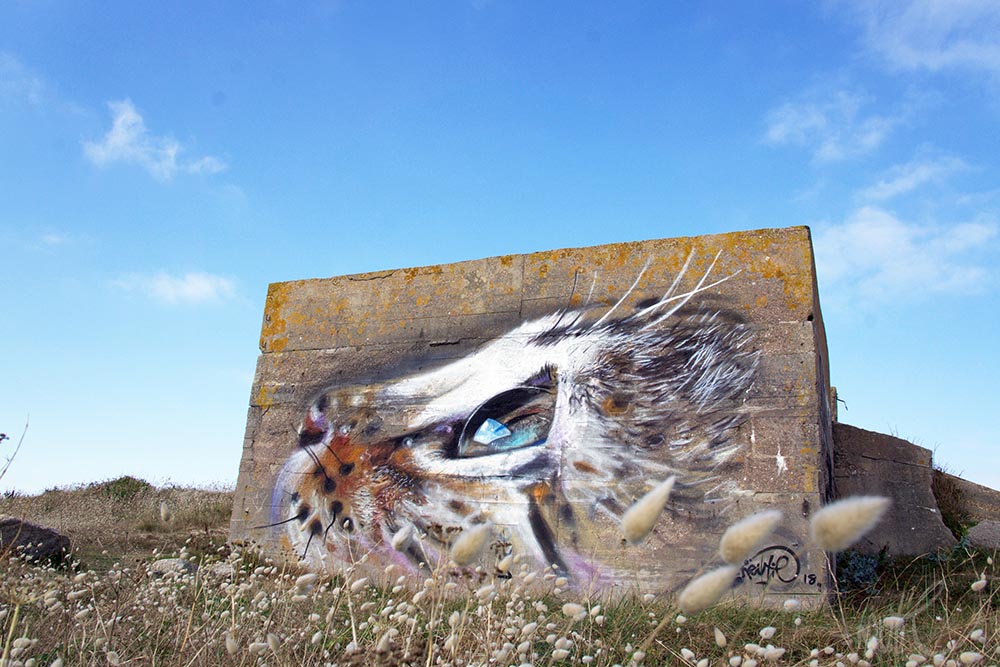 A fun and expressive black-and-white street art cat by graffiti artist Näutil in Réthoville, Manche, France.