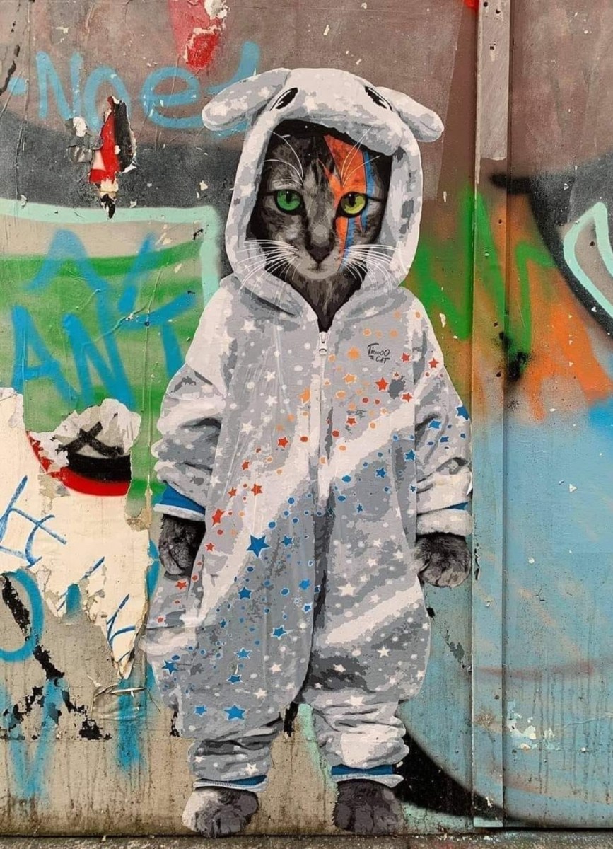 A small street art paste-up of a cat holding a red heart by Tianooo The Cat in Hamburg, Germany.