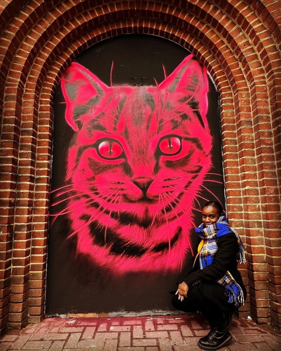 A bright hot-pink neon-style street art painting of a cat by spray paint artist David Speed in London, England.
