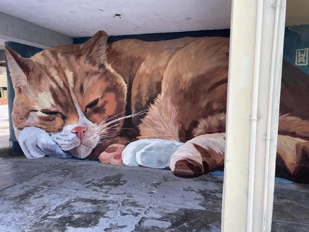 A serene street art mural of a tiny kitten sleeping by graffiti artist WA in Lima, Peru.