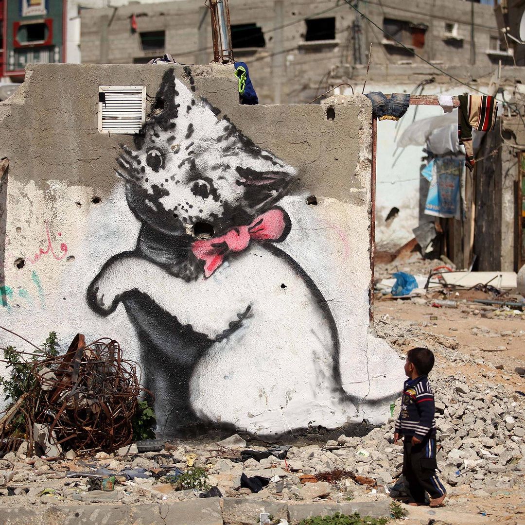 A powerful street art mural of a playful kitten painted on the rubble of a destroyed building by Banksy in Gaza, Palestine.