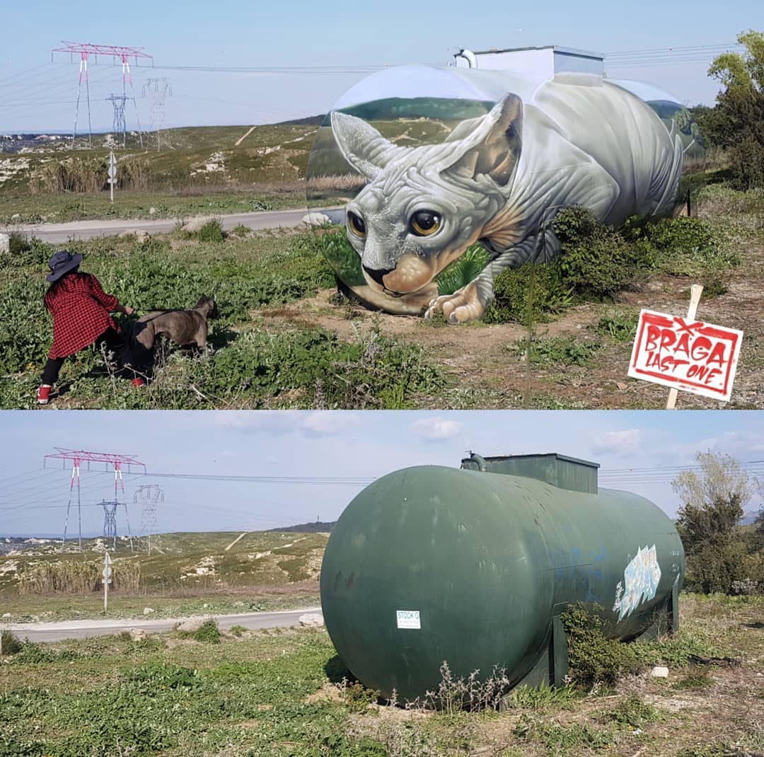 Mural by Braga Last1, also known as Tom Bragado Blanco, transforming an old gas tank into a striking 3D illusion of a sphynx cat. The artwork features a hyper-realistic sphynx cat crouching and gazing intently, as if ready to pounce, blending seamlessly with the natural surroundings. A person walking a dog nearby adds scale, emphasizing the mural’s impressive size and realism. In the second image, the gas tank is shown before the transformation, illustrating the artist’s creative vision in bringing this industrial object to life.