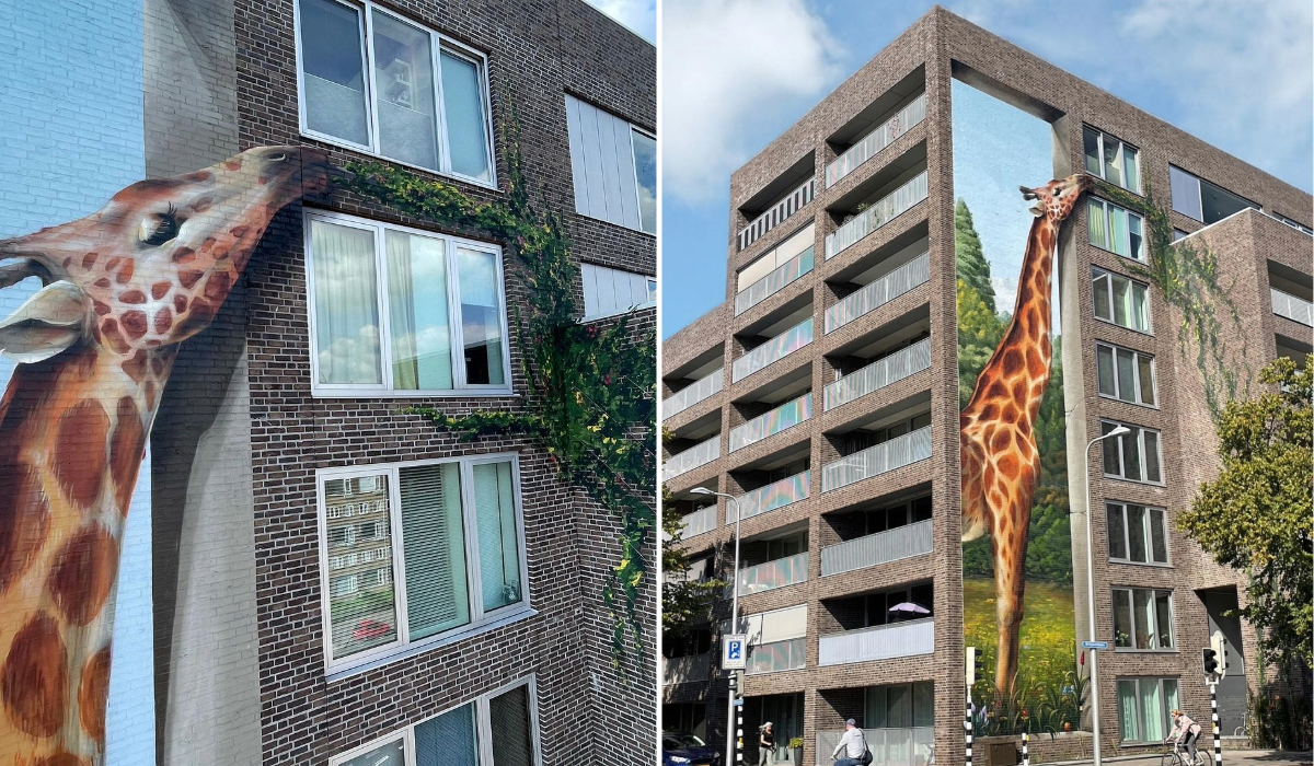 Side-by-side images of Jan Is De Man's giraffe mural in Utrecht, Netherlands. The left image shows a close-up of the giraffe's head, appearing to eat real greenery growing on the adjacent building. The right image provides a full view of the mural, depicting a life-sized giraffe painted on a multi-story residential building, blending seamlessly with the urban landscape and a painted forest backdrop.