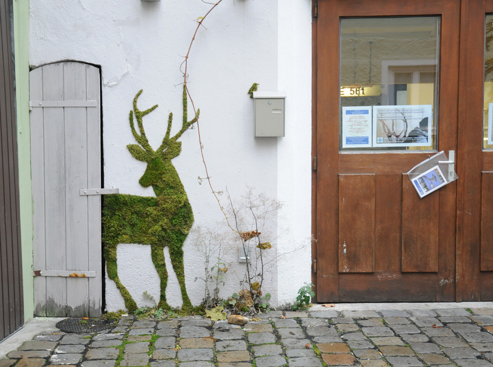 Moss Graffiti by Carly Schmitt