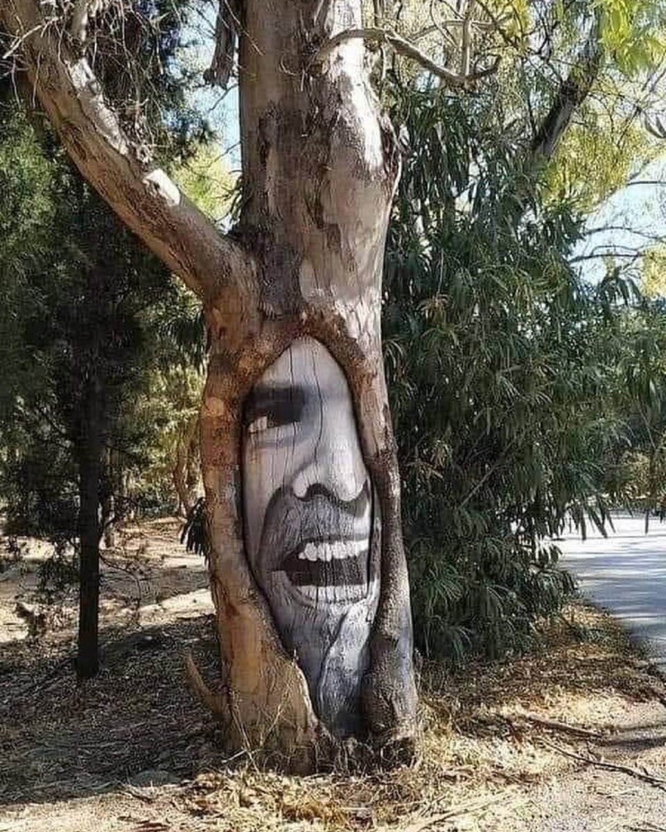 577979