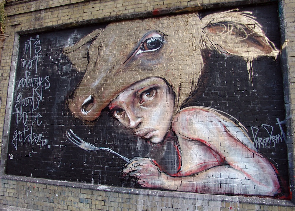 Image/photo