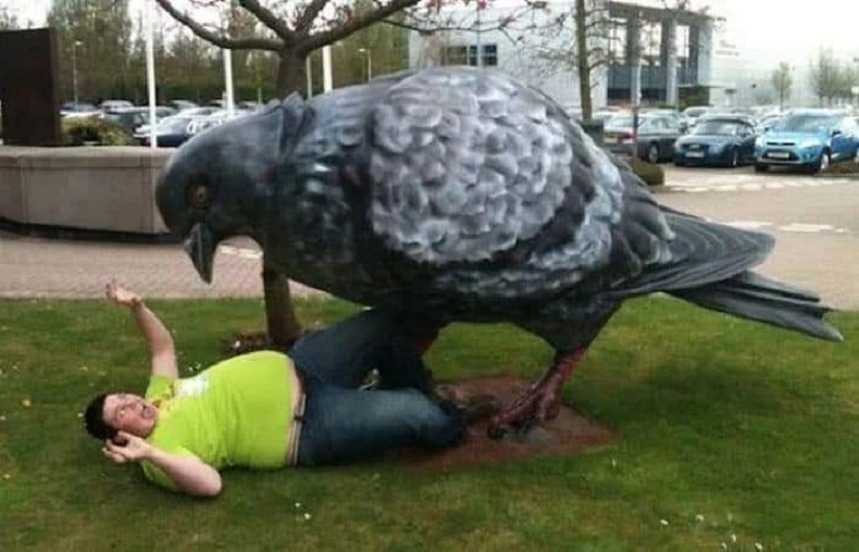 Terrifying 3D illusion street art of a giant pigeon sculpture in Bracknell, UK. A frightened man interacts with this massive public graffiti and mural piece.
