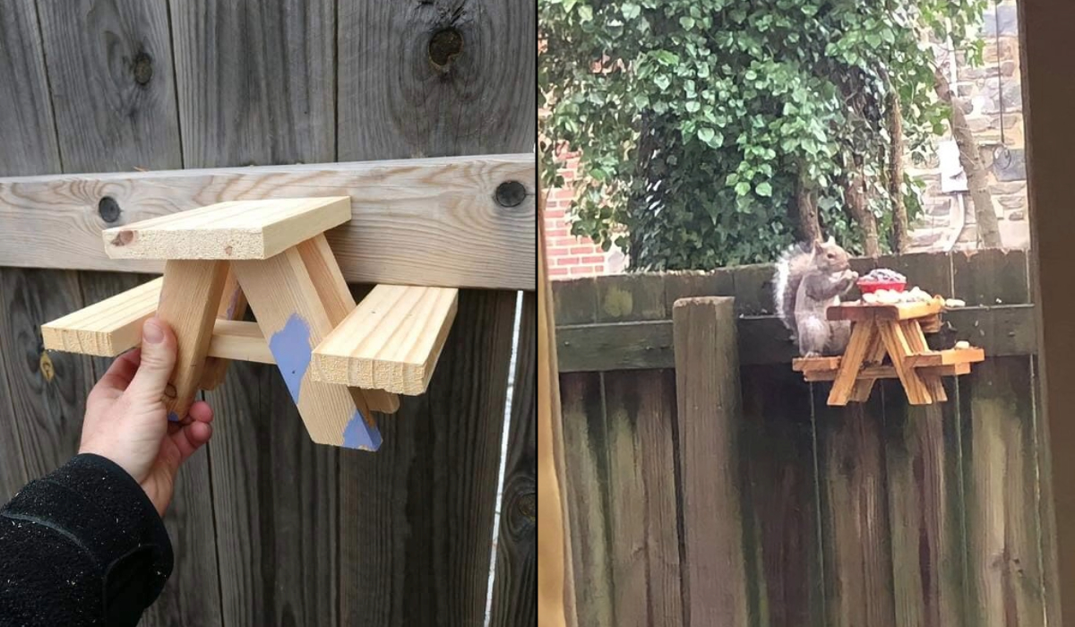 A handmade tiny wooden picnic table attached to a tree with a squirrel eating at it, paired with a photo of a person holding the same table before installation.