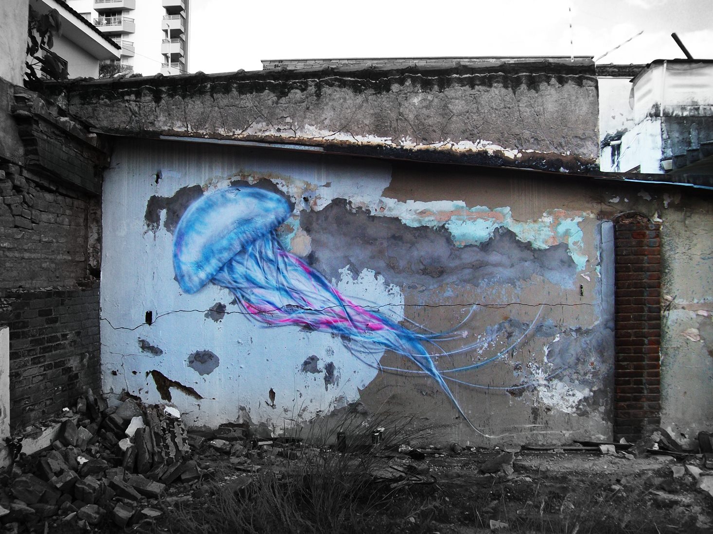 Street Art by L7m 6