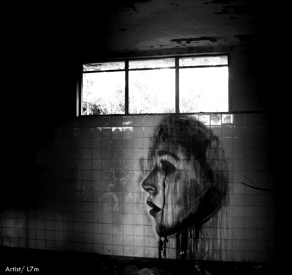 Street Art by L7m 5