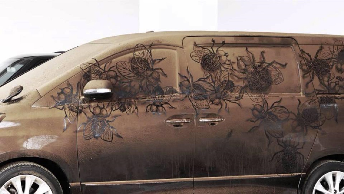 Detailed insects and flies drawn into the dust on a white van