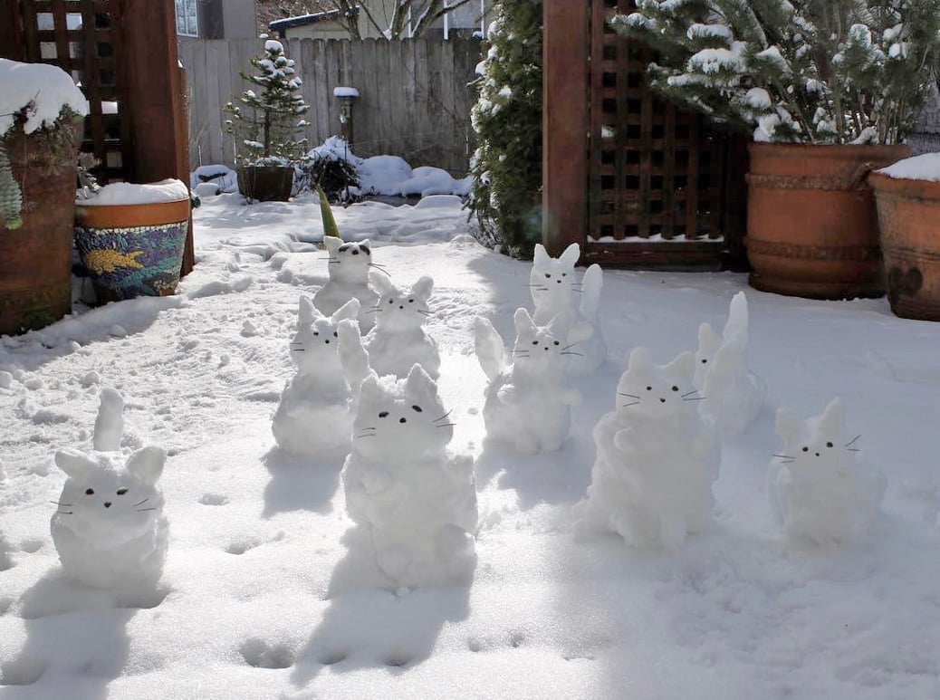 Large group of tiny snow cats