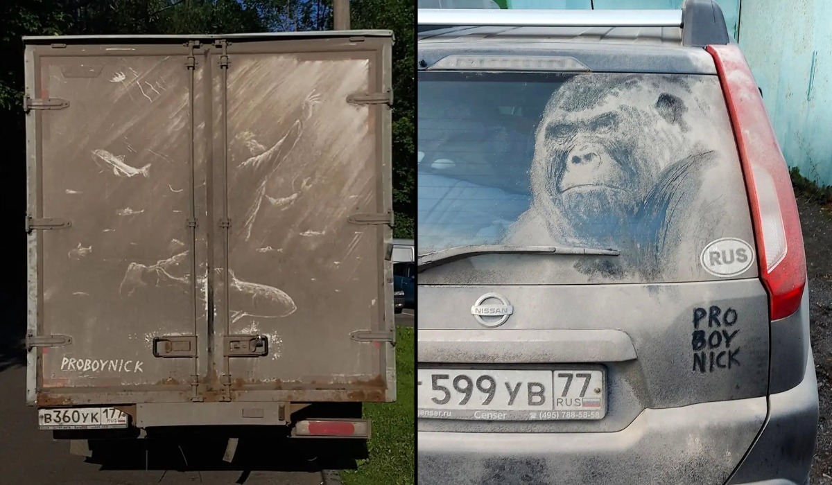 Dirt On Cars Turned Into Art (18 Photos)