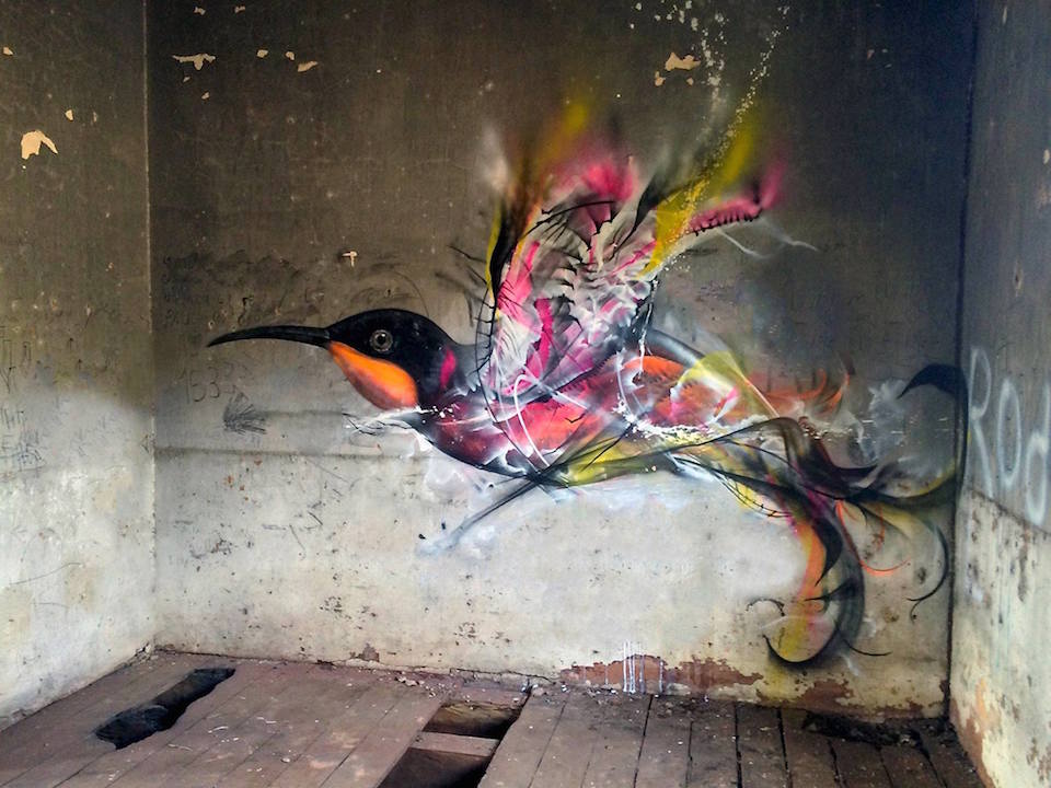 A bird mural by L7m in Brazil, showing a colorful hummingbird-like bird painted on an interior wall with expressive abstract strokes.