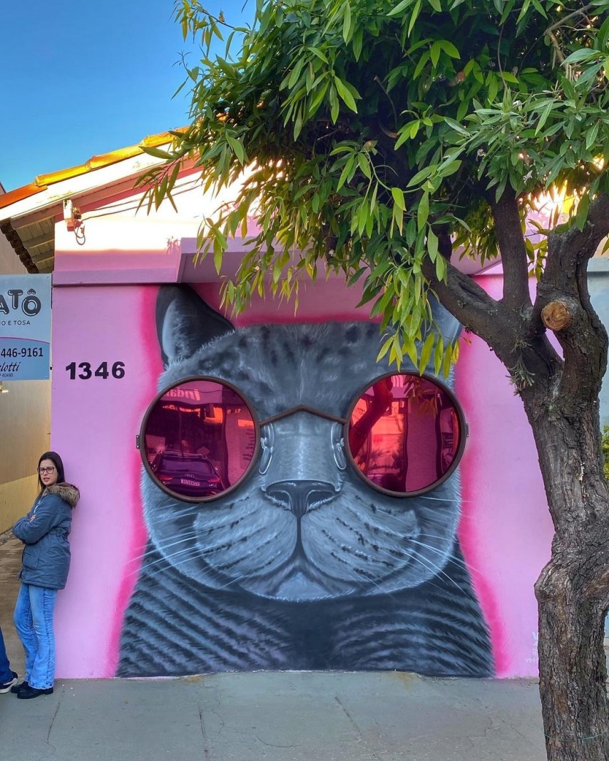 A mural by Vrartes in Indaiatuba, Brazil, showing a gray cat with large round pink sunglasses painted on a bright pink wall beneath a real tree.