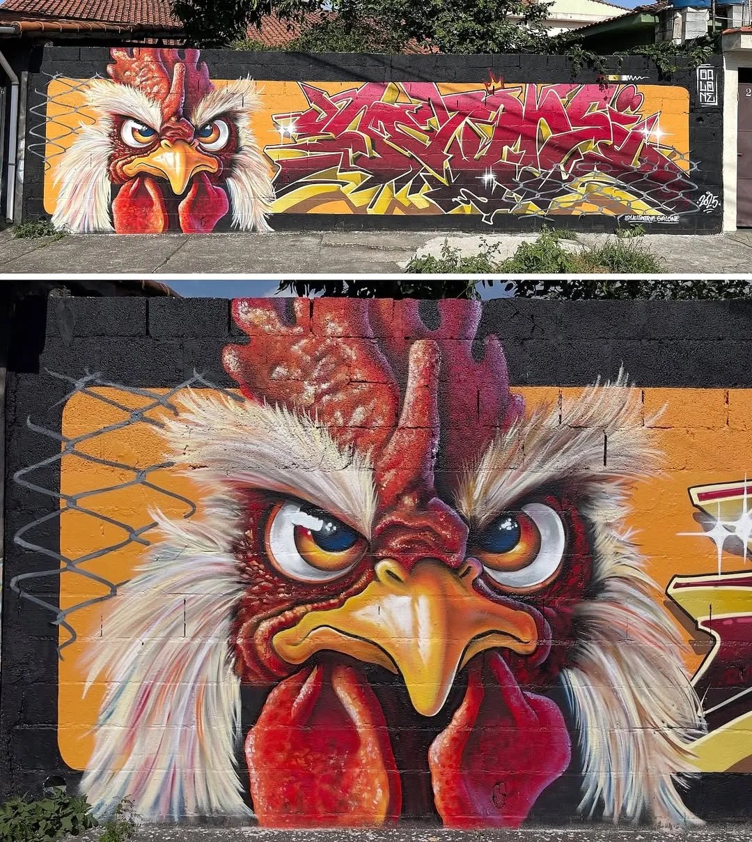 Mural by Wellington Galone in Santa Isabel, Brazil featuring a fierce-looking chicken with piercing eyes and detailed feathers beside angular red graffiti letters on an orange wall with black framing.