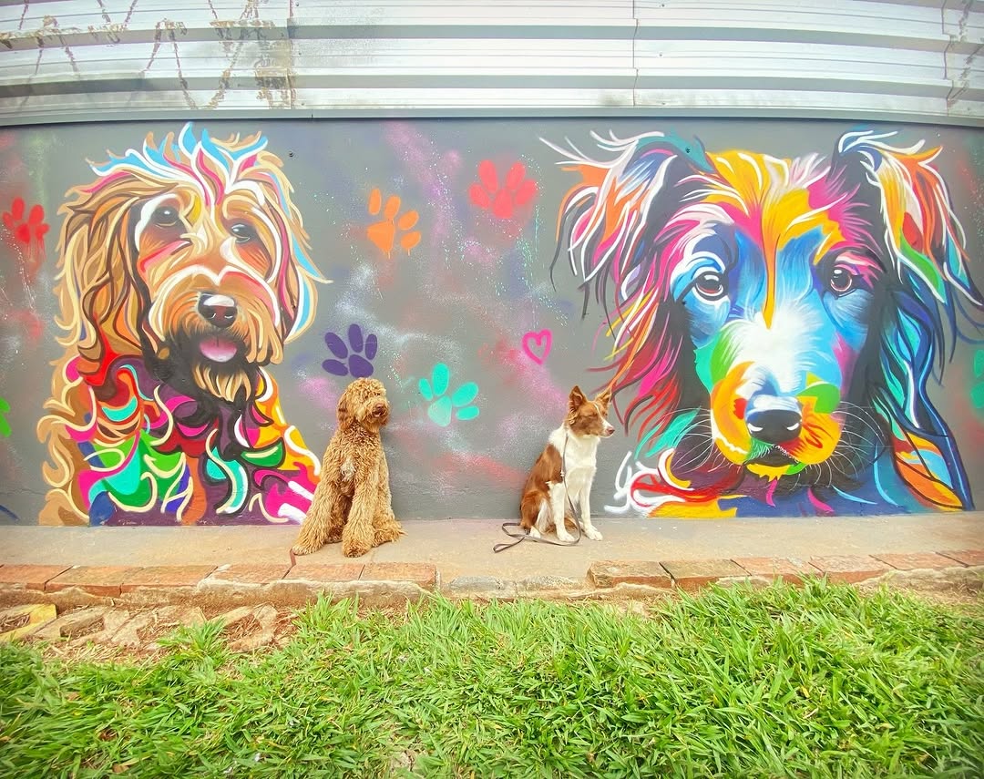 Mural by EdEr SliM in São Carlos, Brazil featuring two colorful stylized dog portraits on a gray background with multicolored paw prints, with two real dogs posed in front mimicking the artwork’s positions and expressions.