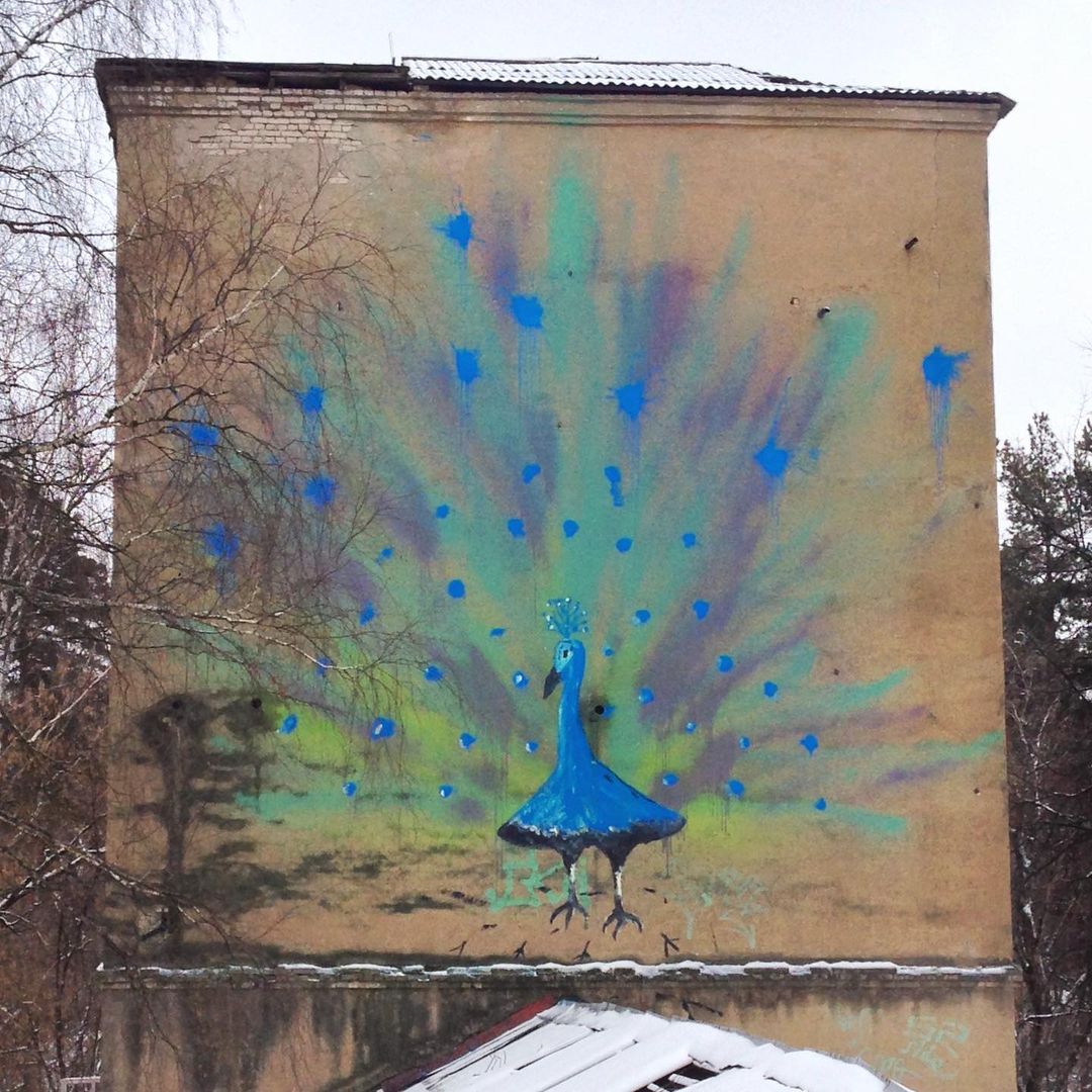 Image/photo