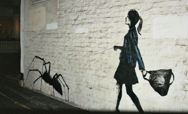 Image/photo