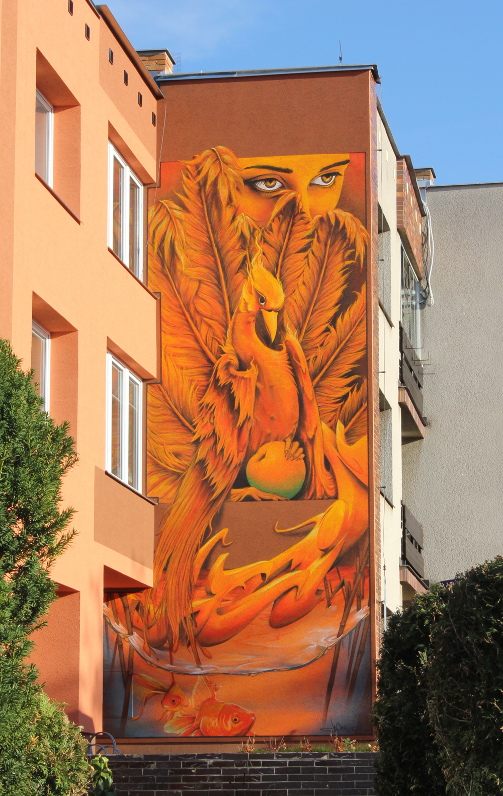Image/photo