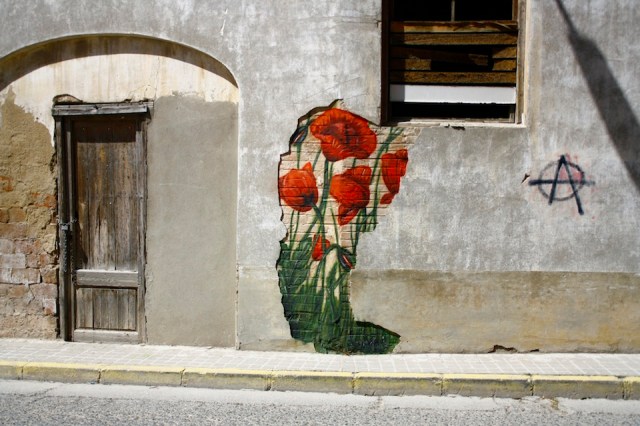 Image/photo