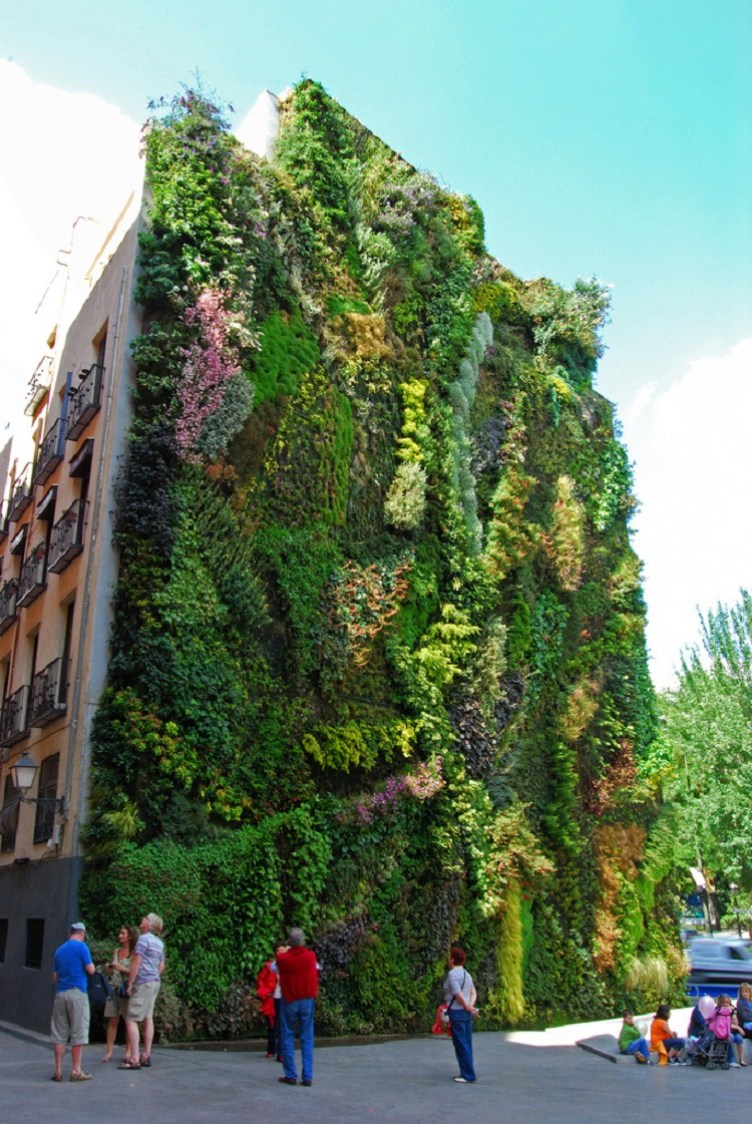 Vertical Garden. By Patrick Blanc in Madrid, Spain