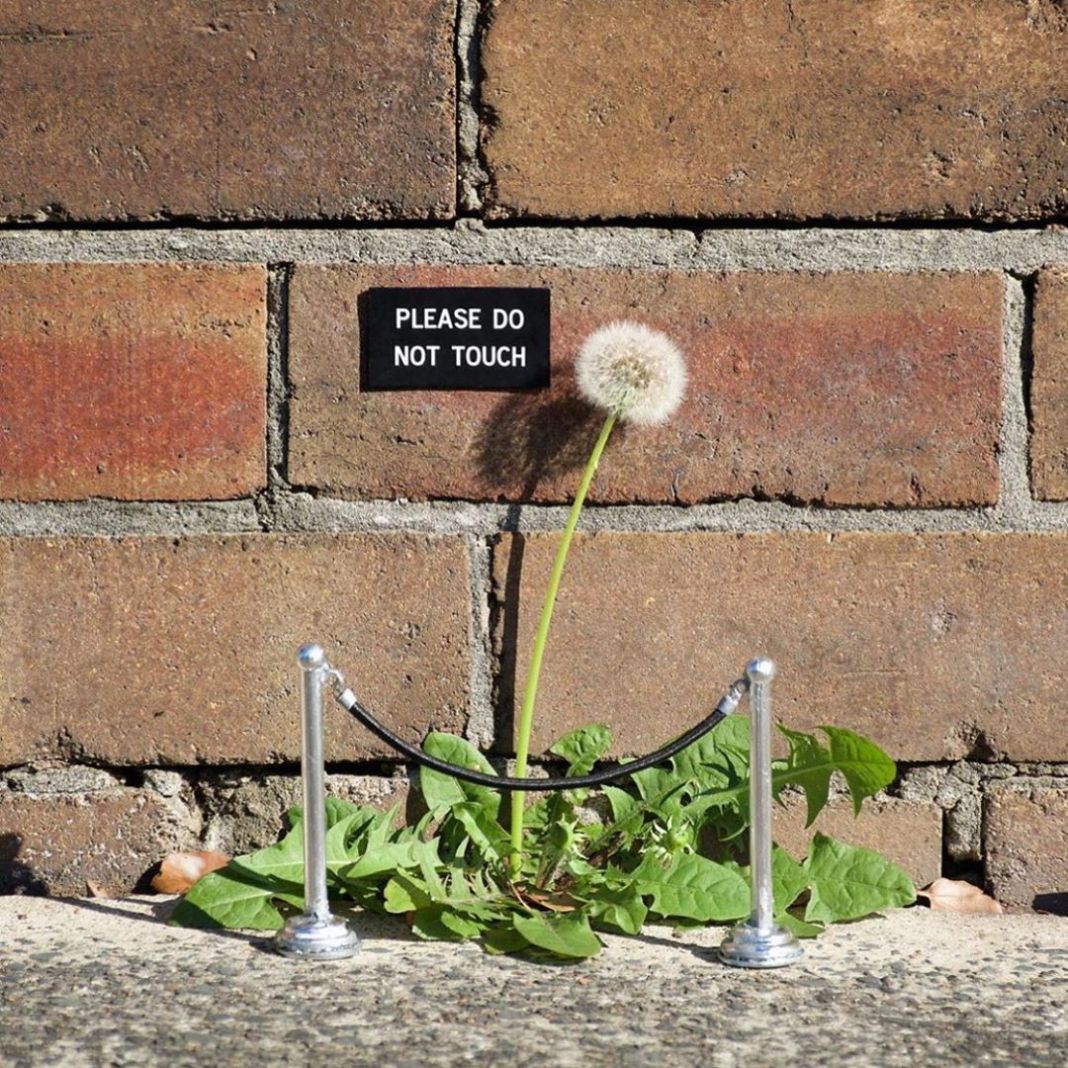 #StreetArt by Michael Pederson in #Sydney #Australia