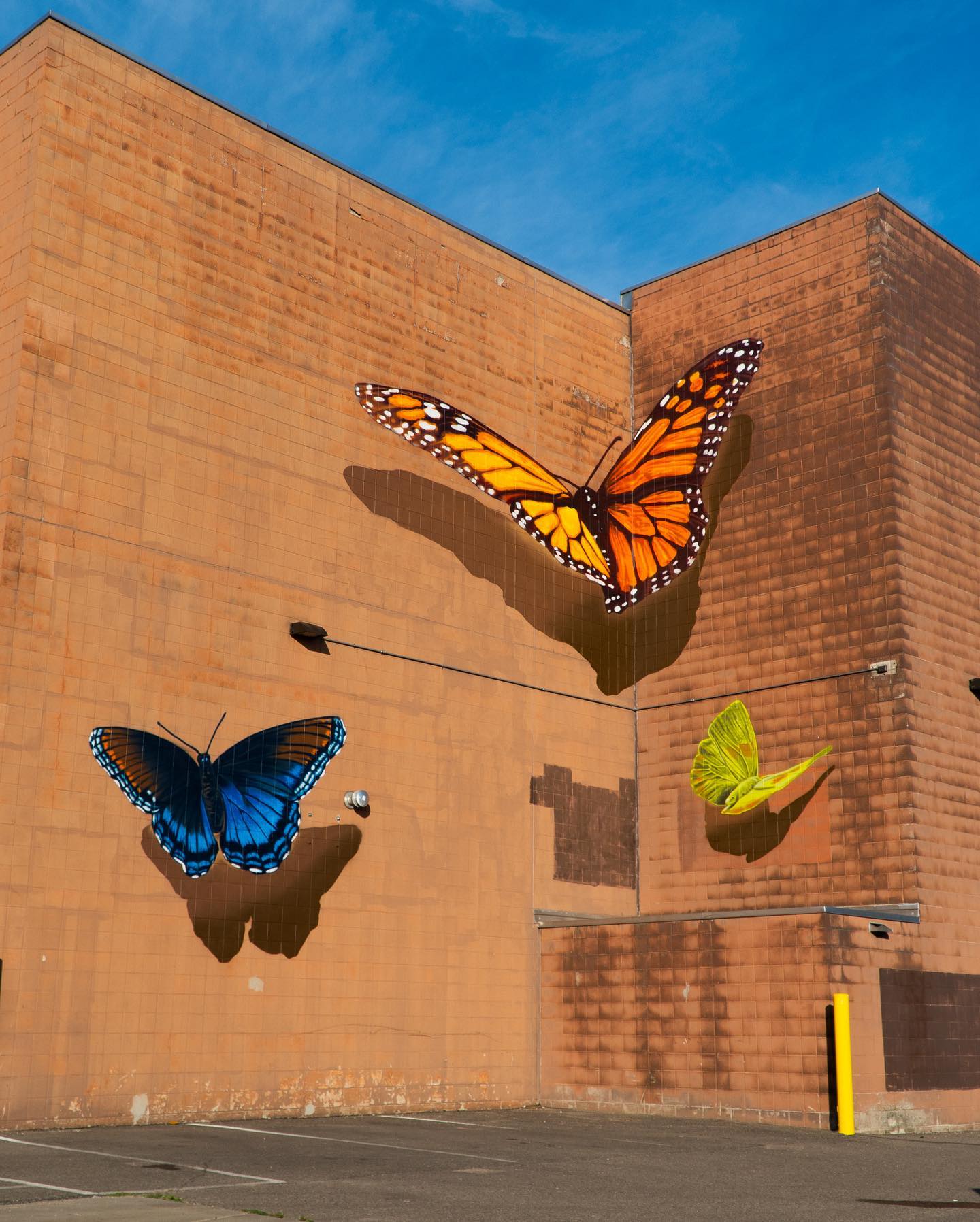 Realistic mural of three large butterflies in orange, blue, and yellow painted on a brick wall, with shadow effects that make them appear three-dimensional.